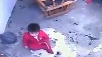 Случайное спасение малыша котом - смотреть видео (1:19)