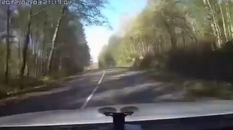 Куда плывем на машине? - смотреть видео (1:00)