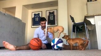 Домашний баскетбольный цирк - смотреть видео (0:54)