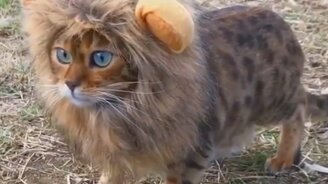 Русские приколы в подборке - смотреть видео (5:30)