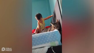 Малышка делает массаж кошке - смотреть видео (1:01)