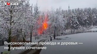 Дерево превратилось в огненную дугу - смотреть видео (0:26)