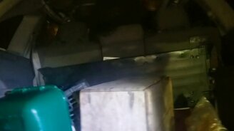 Медведь в автомобиле - смотреть видео (0:28)