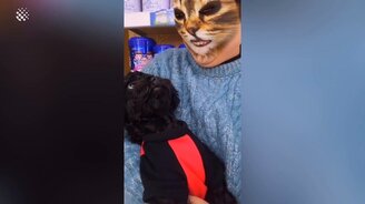 Хозяйка, ты кошка что ли? - смотреть видео (1:21)