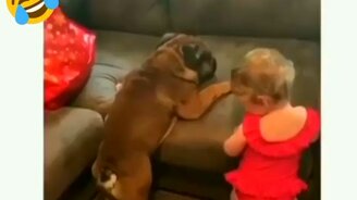 Братья по несчастью - смотреть видео (1:00)