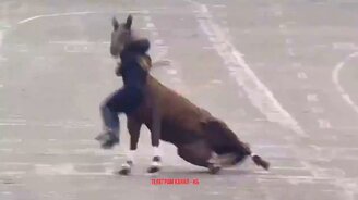 Провал наездника - смотреть видео (0:20)