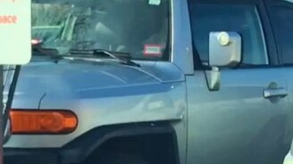 Нетерпеливый пёс в машине - смотреть видео (1:00)