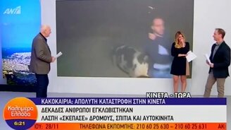 Свинья и репортёр - смотреть видео (0:59)