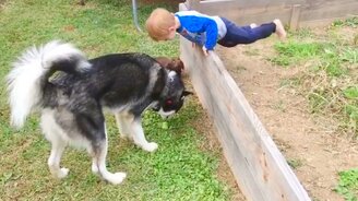 Счастливые дети и собаки - смотреть видео (9:42)