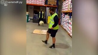 Они сделали это замечательно! - смотреть видео (4:55)