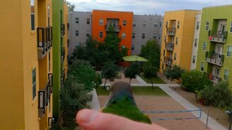 Попугай вернулся! - смотреть видео (0:11)