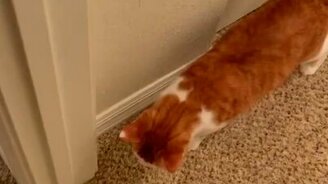 Кинь ещё раз заколку! - смотреть видео (0:42)