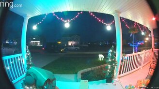 Порядочный доставщик - смотреть видео (1:07)