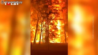 Лес взорвался на глазах у пожарных - смотреть видео (0:48)