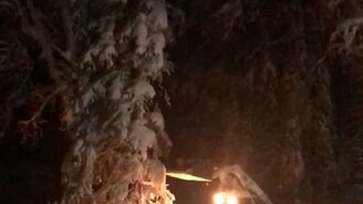 Потрясли заснеженную ель - смотреть видео (0:32)