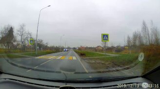 Грамотная собака-пешеход - смотреть видео (0:18)