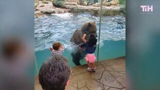 20 самых удивительных видео - 2019 - смотреть видео (4:32)