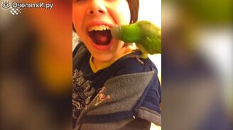 60 трогательных и весёлых сюжетов с питомцами - смотреть видео (12:33)