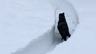 Бег по снежному лабиринту - смотреть видео (0:30)