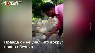 Индийский сюрприз от природы на день рождения - смотреть видео (0:19)