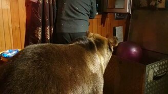 Что там за окном-то? - смотреть видео (0:43)