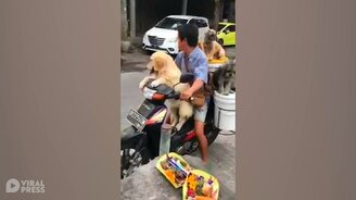 Истинный собачник - смотреть видео (0:14)