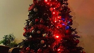 Игра в "Змейку" на ёлке - смотреть видео (0:35)