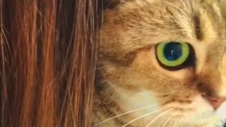 Не выношу поцелуев! - смотреть видео (0:15)