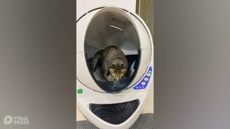 Самоочищающийся туалет для кошки - смотреть видео (1:27)