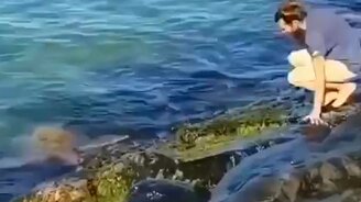 Помог семье черепах - смотреть видео (0:22)