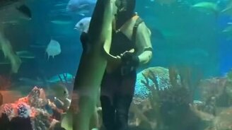 Танец дайвера с акулой - смотреть видео (0:13)