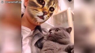 Собаки и кошки для позитивного настроения - смотреть видео (6:48)