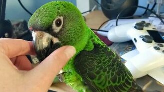 Если вам надо разобрать клавиатуру - смотреть видео (0:56)