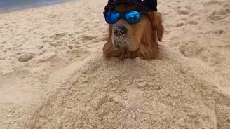 Расслабление в песке - смотреть видео (0:16)