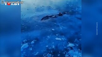 Провалился под лёд на Байкале - смотреть видео (0:58)
