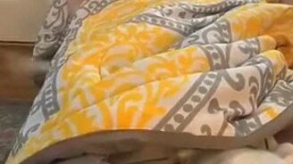 Приветик, пёсик! - смотреть видео (0:21)