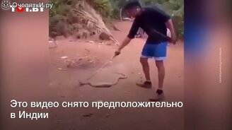 Змея вытолкнула из себя пластиковую бутылку - смотреть видео (0:46)