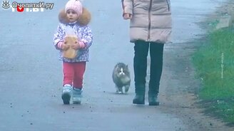 Кот сделал необъяснимую вещь - смотреть видео (0:16)