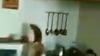 Кошачий паркур не удался - смотреть видео (0:06)