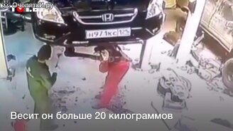 Если забыть про технику безопасности на СТО - смотреть видео (0:29)