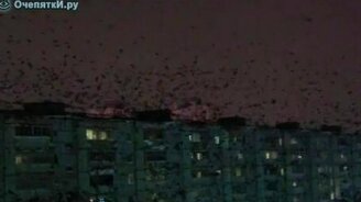 Ночной дозор по-казански - смотреть видео (0:44)