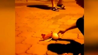 Снесла курочка яичко - смотреть видео (0:17)