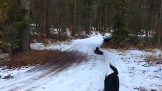 Чур, я на ледянку! - смотреть видео (0:13)