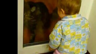 Пусти меня - смотреть видео (0:47)