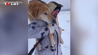 Собака устала - вот что сделали охотники - смотреть видео (0:37)