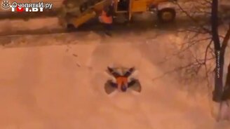 Дорожник обрадовался снегу - смотреть видео (0:15)