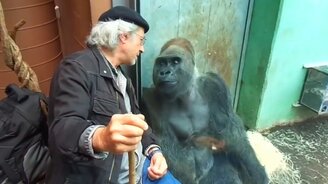 Хороший собеседник - смотреть видео (1:26)