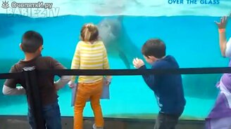 Дети в океанариуме - смотреть видео (2:16)