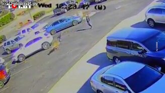 Эффектная выпрыжка в исполнении оленя - смотреть видео (0:17)