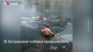 Полез в ледяную воду за собакой - смотреть видео (0:40)